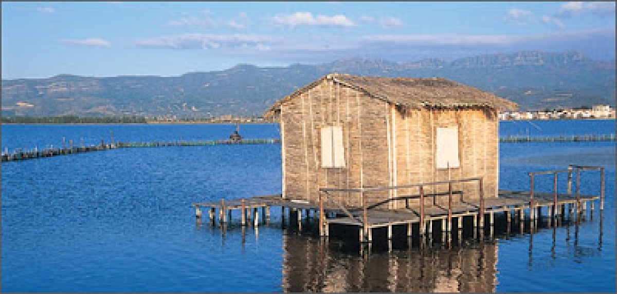 Μεσολόγγι: Στα ήρεμα νερά της λιμνοθάλασσας... (www.kathimerini.gr)