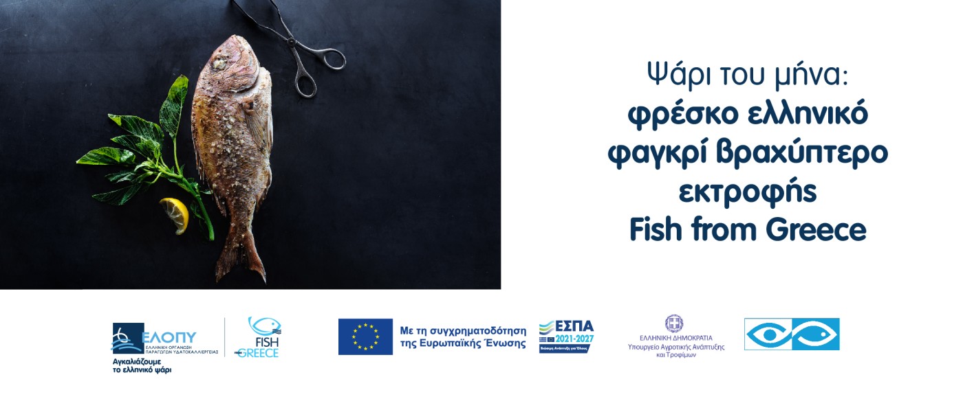 ellopy banner 1200x200 12