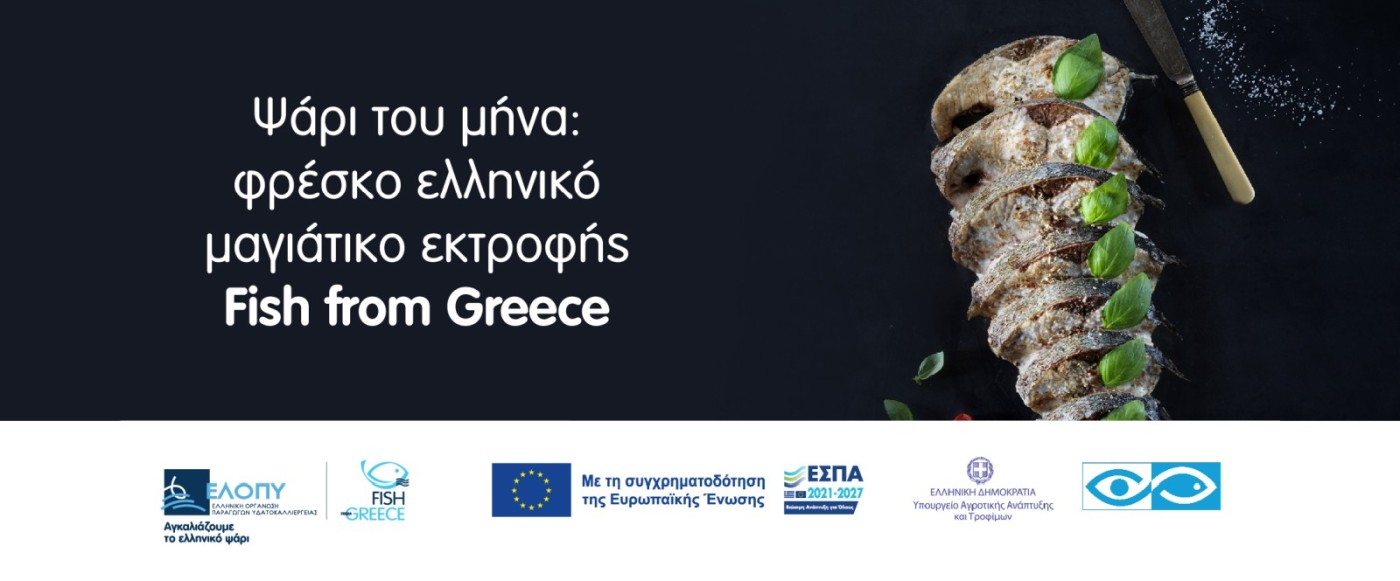 ellopy banner 1200x200 12