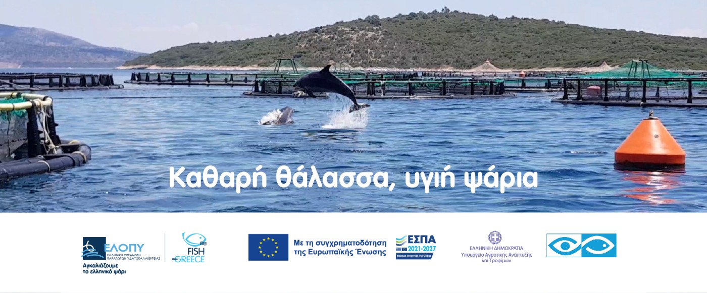 ellopy banner 1200x200 12