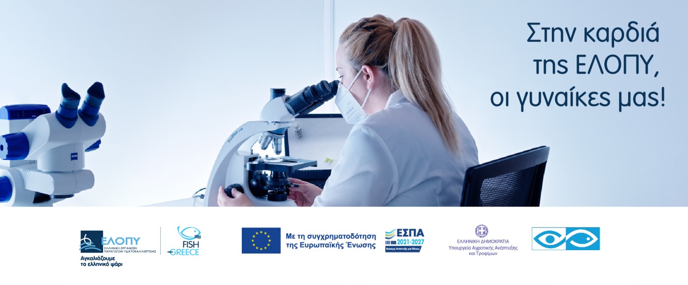 ellopy banner 1200x200 12