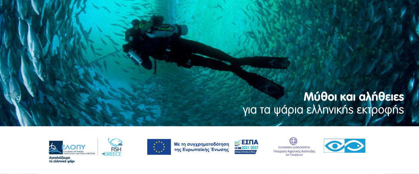 ellopy banner 1200x200 12