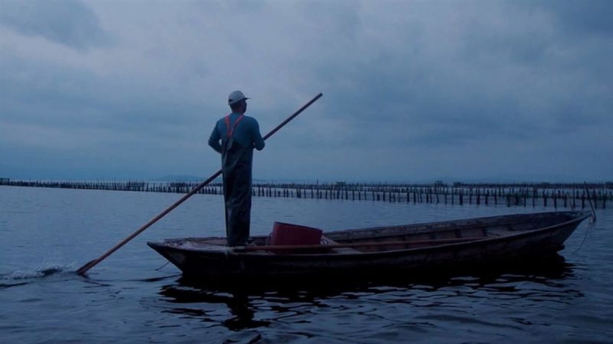 «Άλιμα»: Ένα φοβερό ντοκιμαντέρ για τους ψαράδες της λιμνοθάλασσας Μεσολογγίου