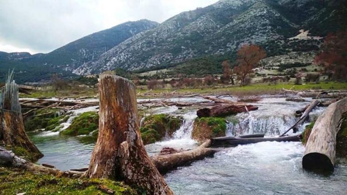 Η μαγεία της φύσης στον κάμπο της Κομποτής στις παρυφές των Ακαρνανικών βουνών (φωτο)