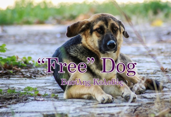 "Free" Dog, το τραγούδι και βιντεοκλίπ που ευαισθητοποιεί για τα δικαιώματα των ζώων (στίχοι - μουσική - ερμηνεία: Βασίλης Κολοβός)
