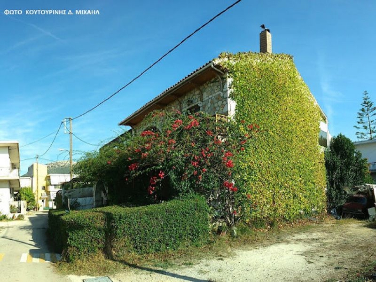 Το πράσινο σπίτι της Βόνιτσας – καλυμμένο από αναρριχώμενα φυτά (φωτο)