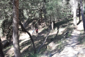 Άλσος Αγίου Χριστοφόρου: To μαγικό δάσος του Αγρινίου με τους σκίουρους και τα μοναδικά μονοπάτια