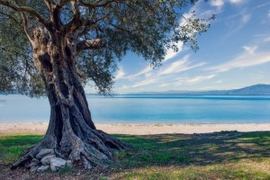 Η Τριχωνίδα στις 4 λίμνες της Ελλάδας για αποδράσεις την άνοιξη (www.travelgo.gr)
