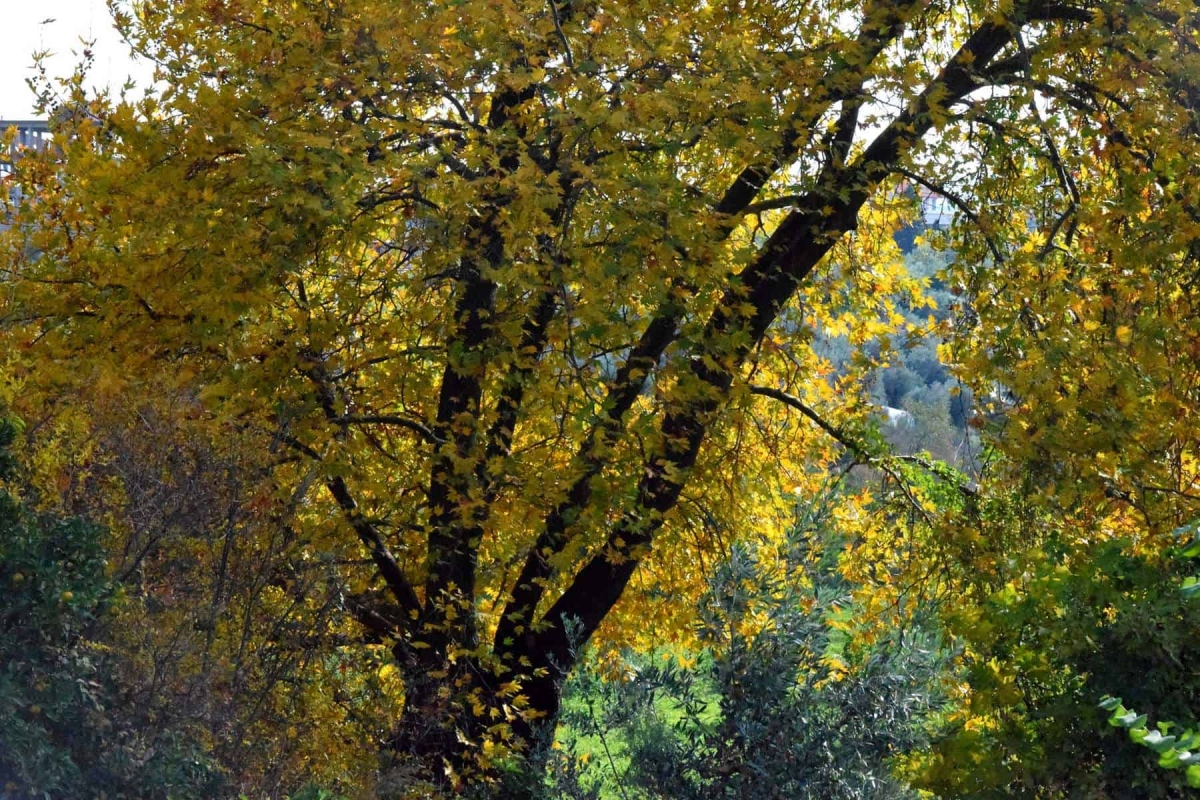 Όμορφες εικόνες φύσης από τον Τροχό Αγρινίου (φωτο-βίντεο)