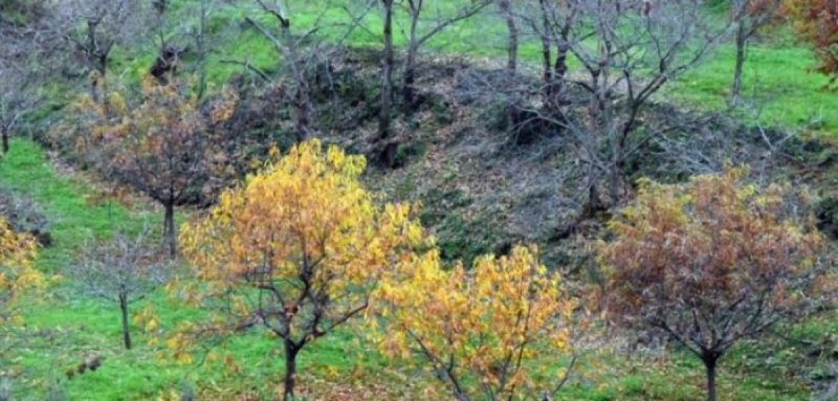 Αγρίνιο: Χειμωνιάτικα τοπία της περιοχής (φωτο)