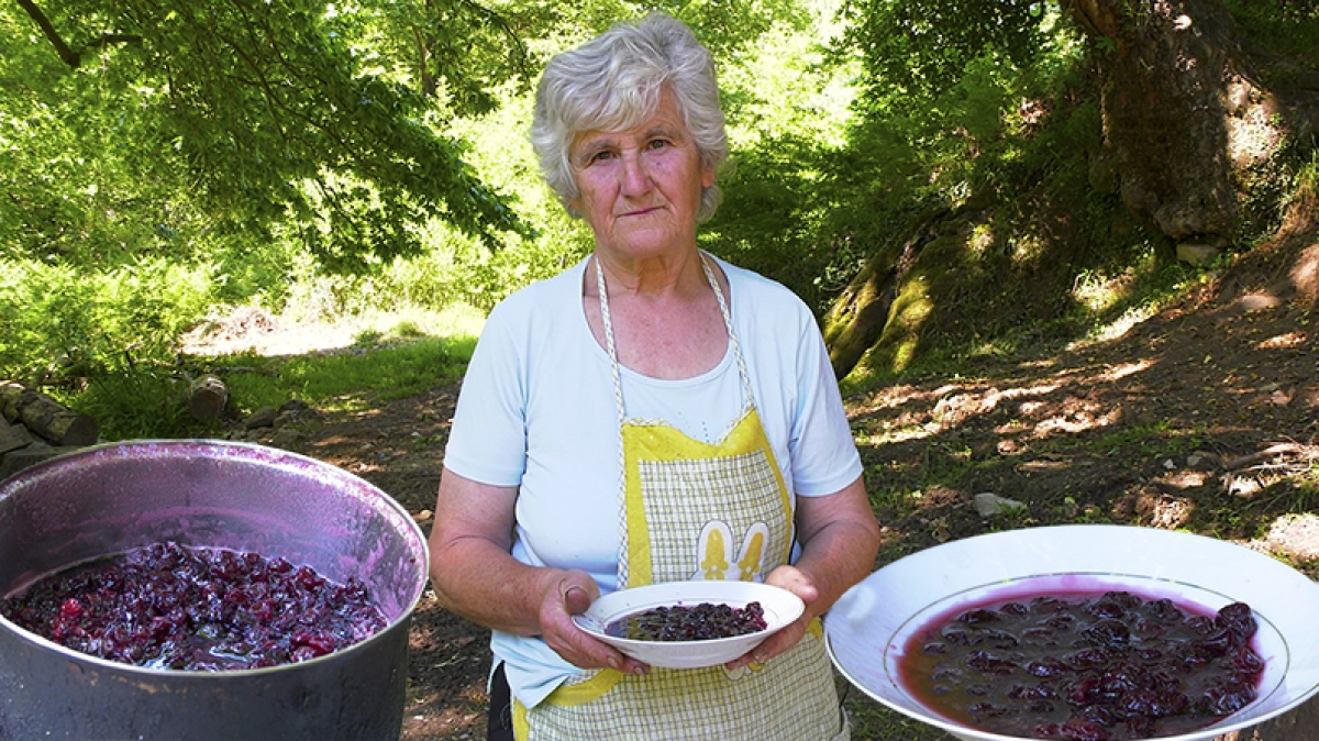 Γλυκό κουταλιού κεράσι, μια γλυκιά ελληνική παράδοση στην Φραγκίστα Ευρυτανίας