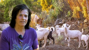 Εγκατέλειψε την Αθήνα για μια καλύτερη ζωή στο χωριό (βίντεο)