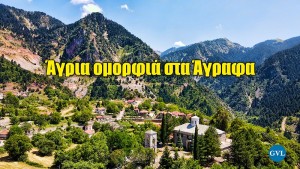 Η πιο εντυπωσιακή ορεινή διαδρομή | Καμάρια – Άγραφα Ευρυτανίας (Βίντεο)