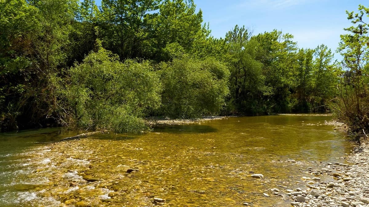 Η ομορφιά του ποταμού Ζέρβα που φτάνει μέχρι τον Αχελώο (βίντεο)