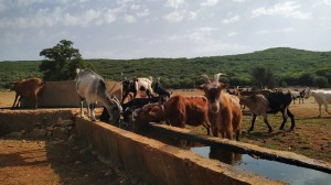 Bρύστιανα Ξηρομέρου: Τόπος και Μνήμη