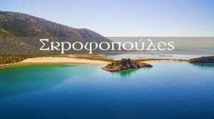 Μεγάλη και μικρή Σκροφοπούλα (βίντεο)