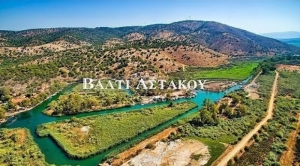 Βαλτί Αστακού (Βίντεο)