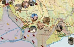 Μεσολόγγι: Ένας κρυμμένος οικοτουριστικός προορισμός (www.ecotourism-greece.com)