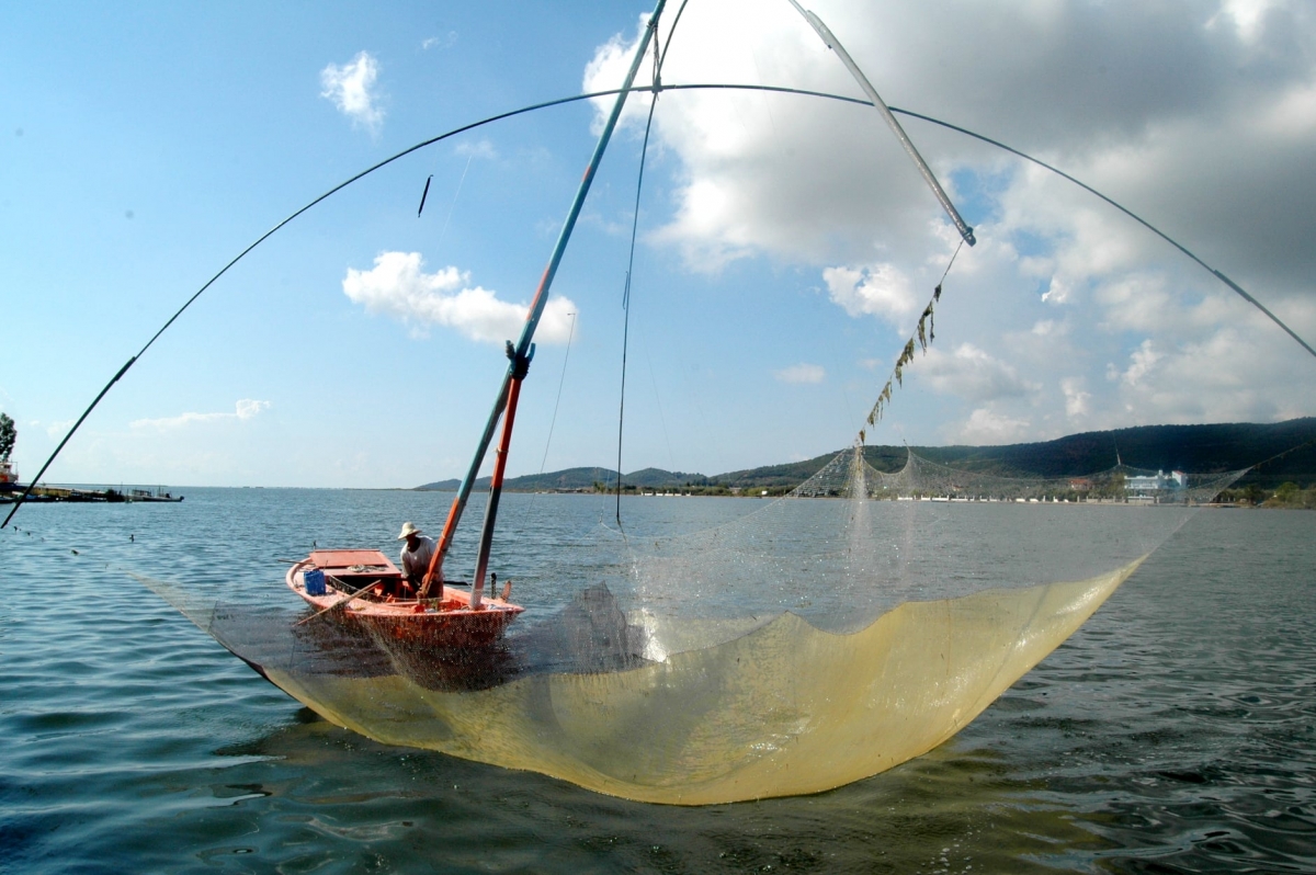 Ψάρεμα με σταφνοκάρι στη λιμνοθάλασσα Μεσολογγίου και Αιτωλικού (φωτο-video)